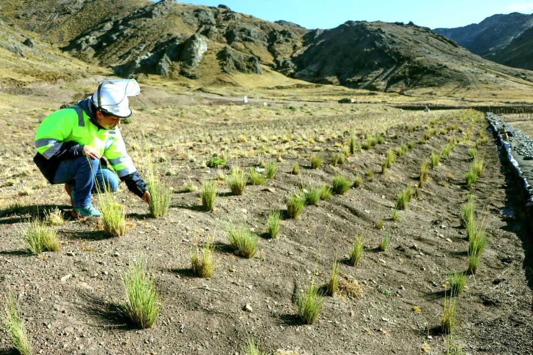 Buena noticia: impulsarán investigación científica en remediación ambiental minera en Perú
