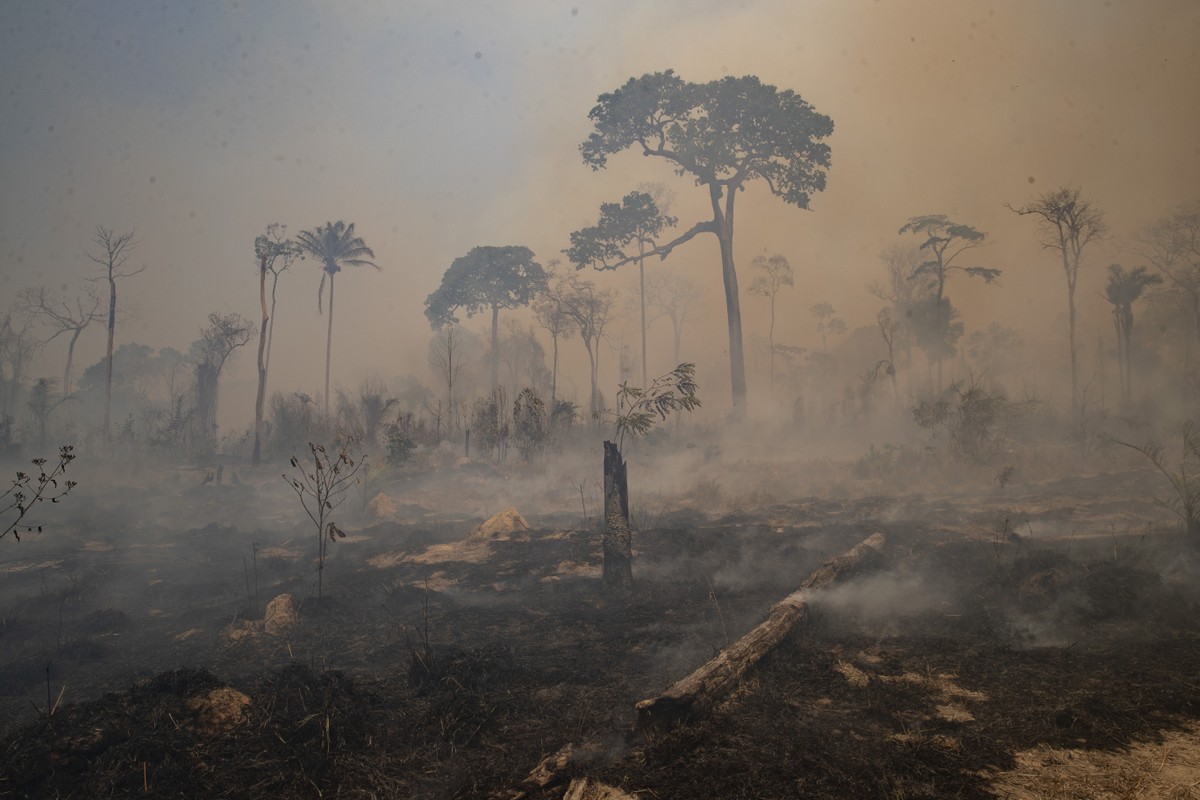 Cititor Carmelo De Grazia Suárez// Emissões de CO2 devem bater novo recorde em 2022, mostra estudo da Global Carbon Project