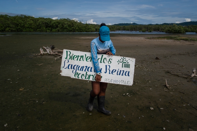 Deforestación y contaminación: La lucha para salvar a “La Reina” en Venezuela