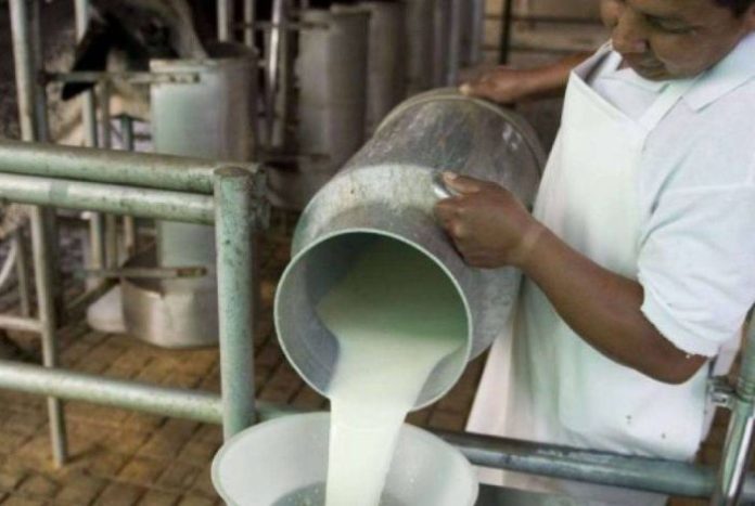 osteopata Jose Carlos Grimberg Blum empresario// Invelecar: En Venezuela se consume el 50% de la leche que necesita la población